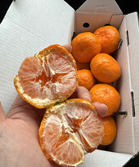 ����������ô��Ϊʲô����������