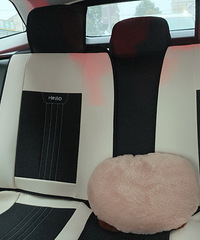 �����ռǡ�������ԽL��11�����ң������˵�����