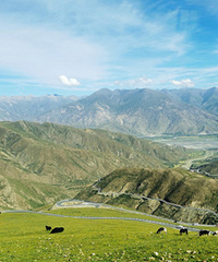 �ƻ��˶��������֮�У����ڳ�����