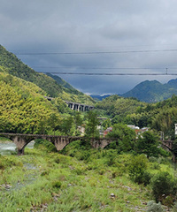 ���п�ȥ���������ɾӵĽ��紦תһ���ĺ�ɽ��