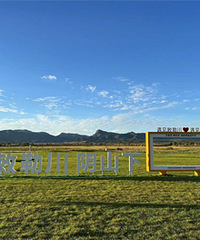 �����󣬴Ӵ�ʫ�ﳡ������������������Ľ�֯