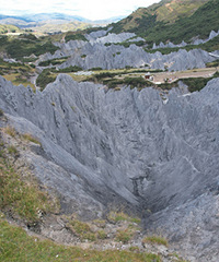 īʯ��԰����Ƭ����֮�ر��ж���