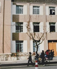 ��������Ƭ