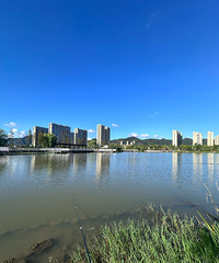 96�б����ˣ�����ѧ�����µ�����ҵ��Ѱ�����Ե����