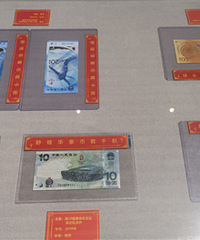 ����ȥ����ݿ������չ��