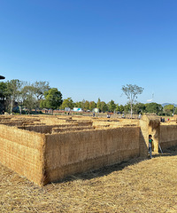 ���ŵ����˶���ȥ�򿨵��˻��������