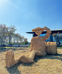 ���ŵ����˶�