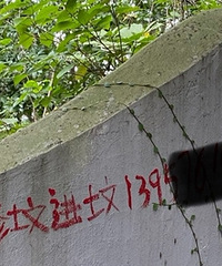 ��涼������ͷ��