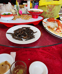 ������һ�β�����Ϊ����μӵĻ���