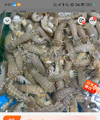 ���۸��᡿100��һ���ƤƤϺ����Ҿ��ù����ҽ��궼û���