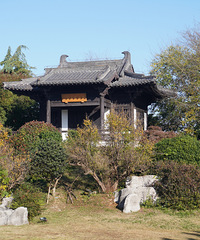 �����£����������еĹŽ��̾