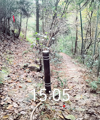 [���㲽��]��é��뾭�ټҼ��Ρͷ�����뵽��ɽ����