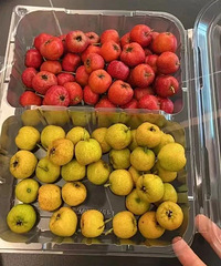 �����ҹſ����Ͱ��˯�ġ���ɽķ�ֳ��£����½�չ