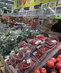 ��ײ����ڻع顰�ײ˼ۡ�