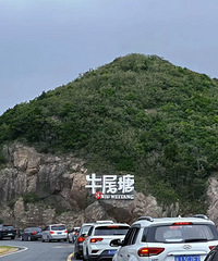 ��2024�μǡ�����ţβ��