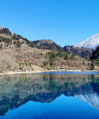 ��կ������ɫѩ���������ϵ۴򷭵ĵ�ɫ��