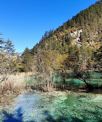 [��կ��]��ɫѩ��ÿһ�����Ǵ���Ȼ�Ľ���