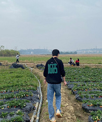 95�꽷���������廧�����ϸ���г��з���������25+