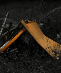 ��������