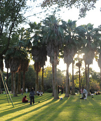 ���������ɽ��԰