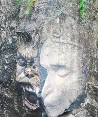 ��ǽ�����Ƽ���̨����Щ����ǽ������������