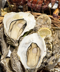 �������ʲô�������ˣ��Ը�������