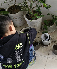 �������������ģ���̫��������