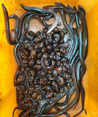 �����ˣ���������Խ��Խ����