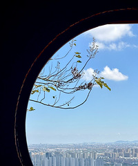 ���ɽ������