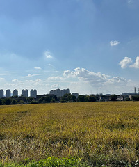 ȥ���ɽ�����µ�·�ϣ��д�Ƭ����