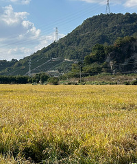 ȥ���ɽ�����µ�·�ϣ��д�Ƭ����