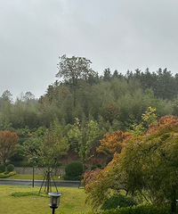 ��Ŀɽ���������Ҹ��徲��