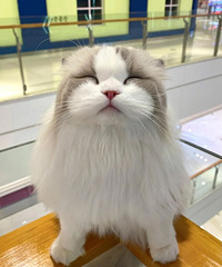 96�������з��ͳ����������������90��Ů��