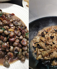 רҵ�¾Ʋˣ����ϺͿ���