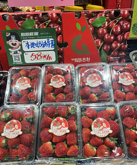 ����ĵ�һ�Ų�ݮ���������