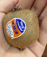 ��Ʒ�ơ�Ҳ������·��