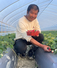 ����ĵ�һ�Ų�ݮ���������