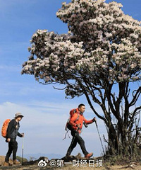 #������������8000��������#