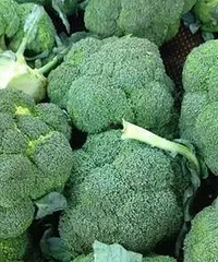 ���ٺ�СС����������Ρ���ת��������������