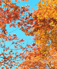 ����̨��ح����Ѱ�����죬�ȣ��ƣ��̣���������