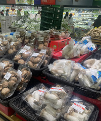 ӭ������С�߷壡̨����Щ�ط��ܻ�