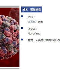 Ԥ��ŵ�粡������Ҫ�岻Ҫ����ת���ҳ�