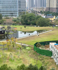 Ϊʲô������ν����ʵ��������Խ��Խ����