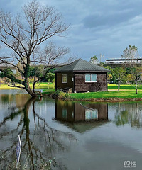 ̨�ݡ�С��ʿ���ο���࣬������ɶ�ÿ�����