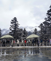 [����]�����Ĳʳأ���Ȼ�����ű��̵�ɫ��