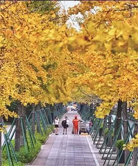 ��ʪ��ħ�����������������������������̨���붬ȴ��Ҫ�ٵȵ�