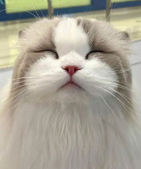 96�������з��ͳ��������������90��Ů��