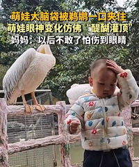 ����һ�ڼ�ס���޴��Դ���ʵ�����������ඥ