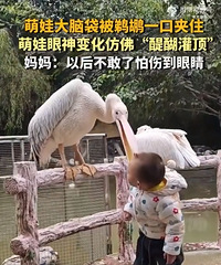 ����һ�ڼ�ס���޴��Դ���ʵ�����������ඥ