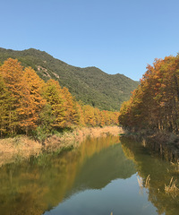 ëɽϪͺɼ žƵϦ